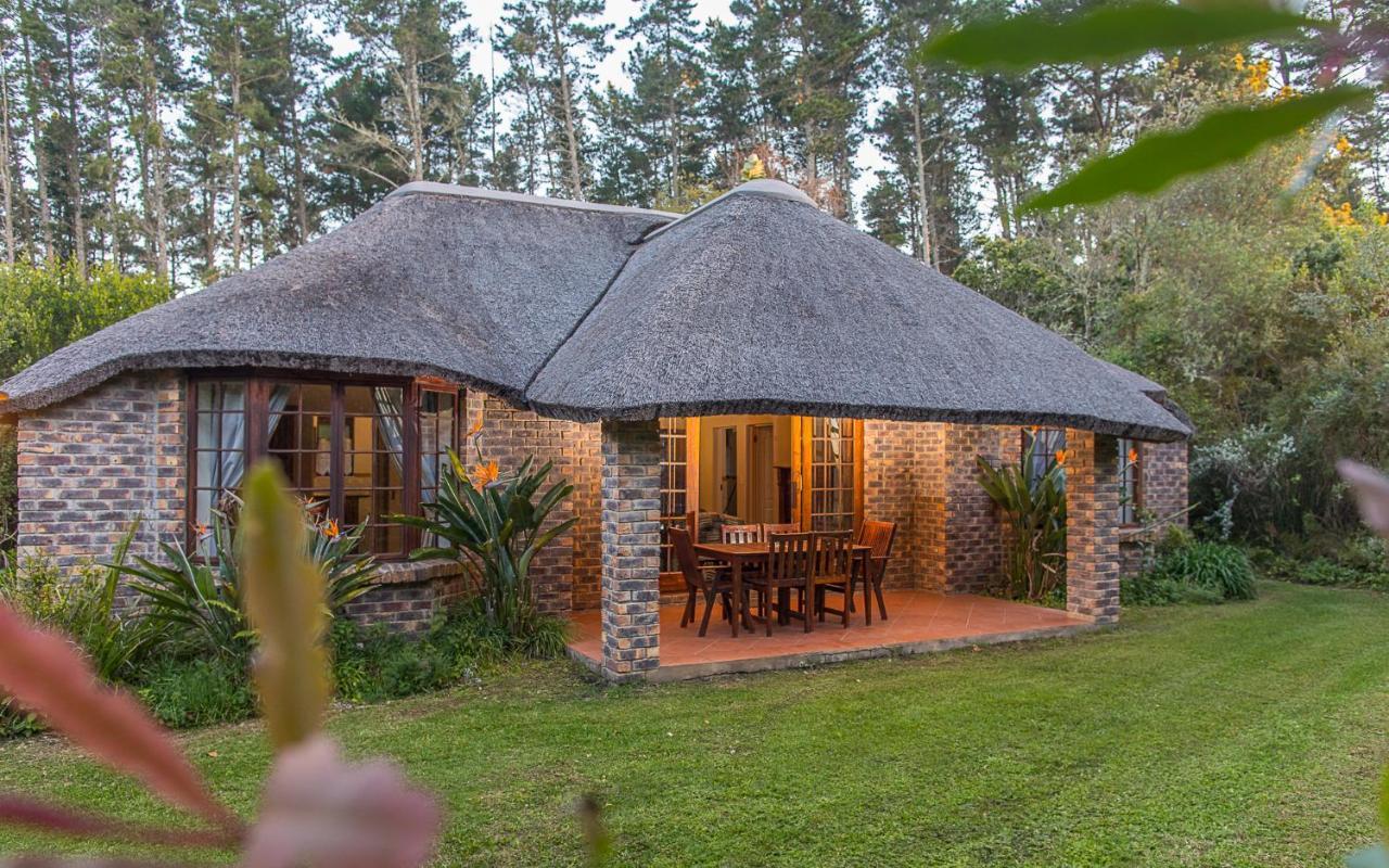 Coral Tree Cottages Harkerville Exterior foto